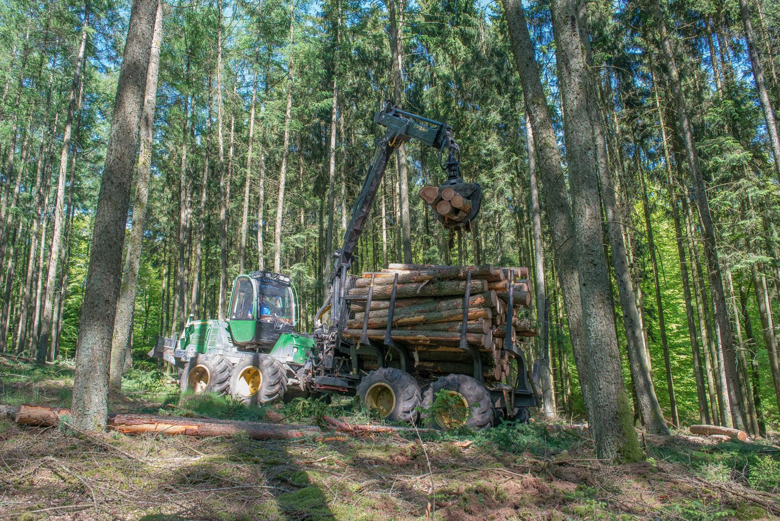 Parc de machines - Entreprise forestière