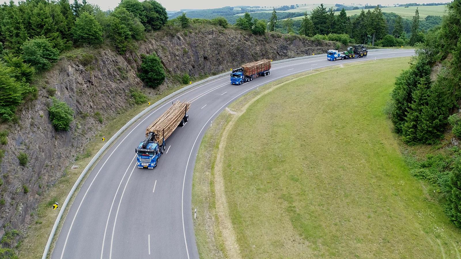 Holzhandel - Forstunternehmen