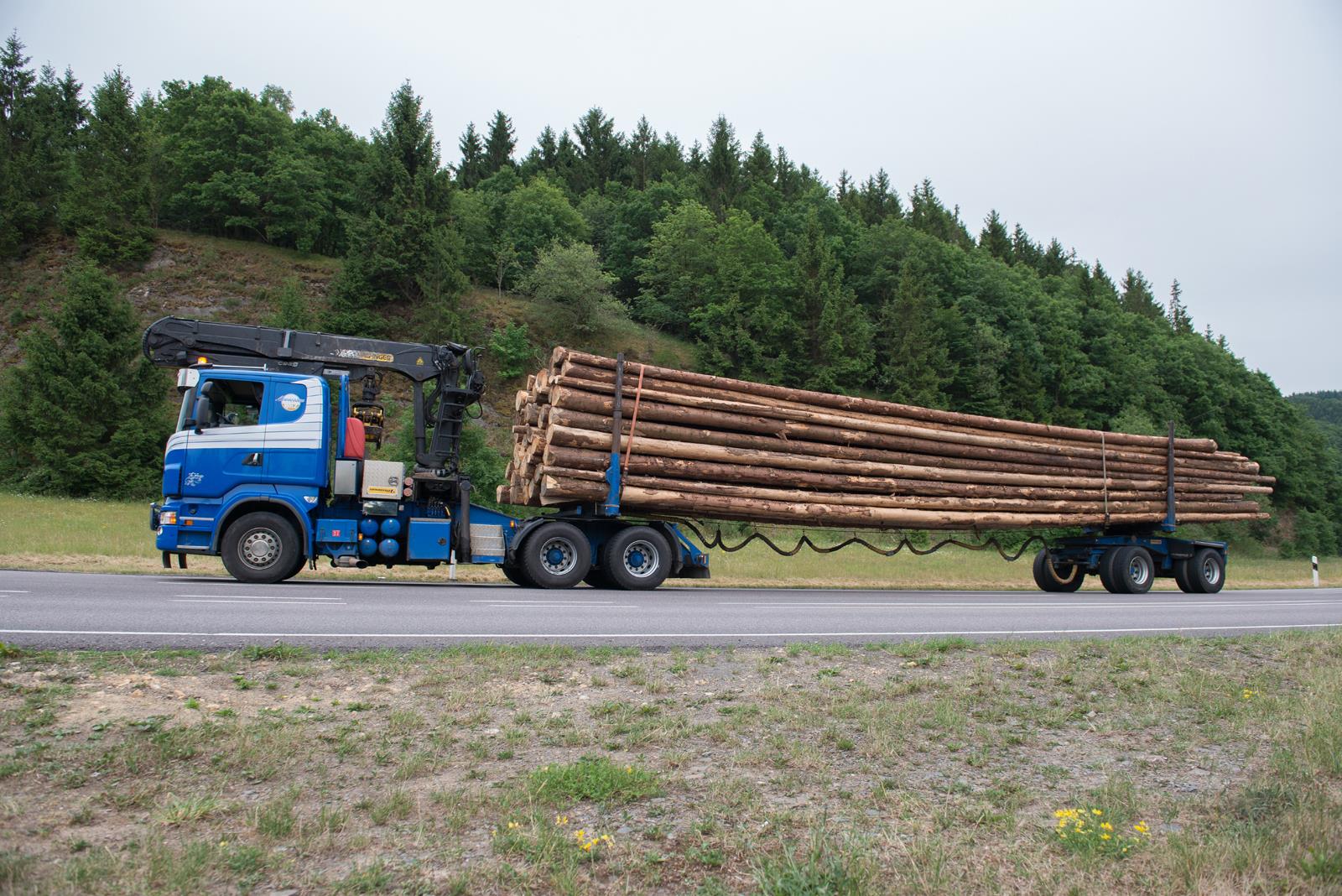 Commerce de bois - Entreprise forestière