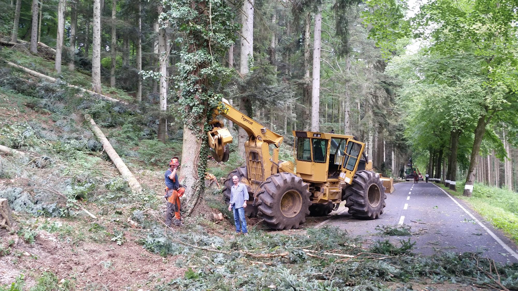 Maschinenpark - Forstunternehmen