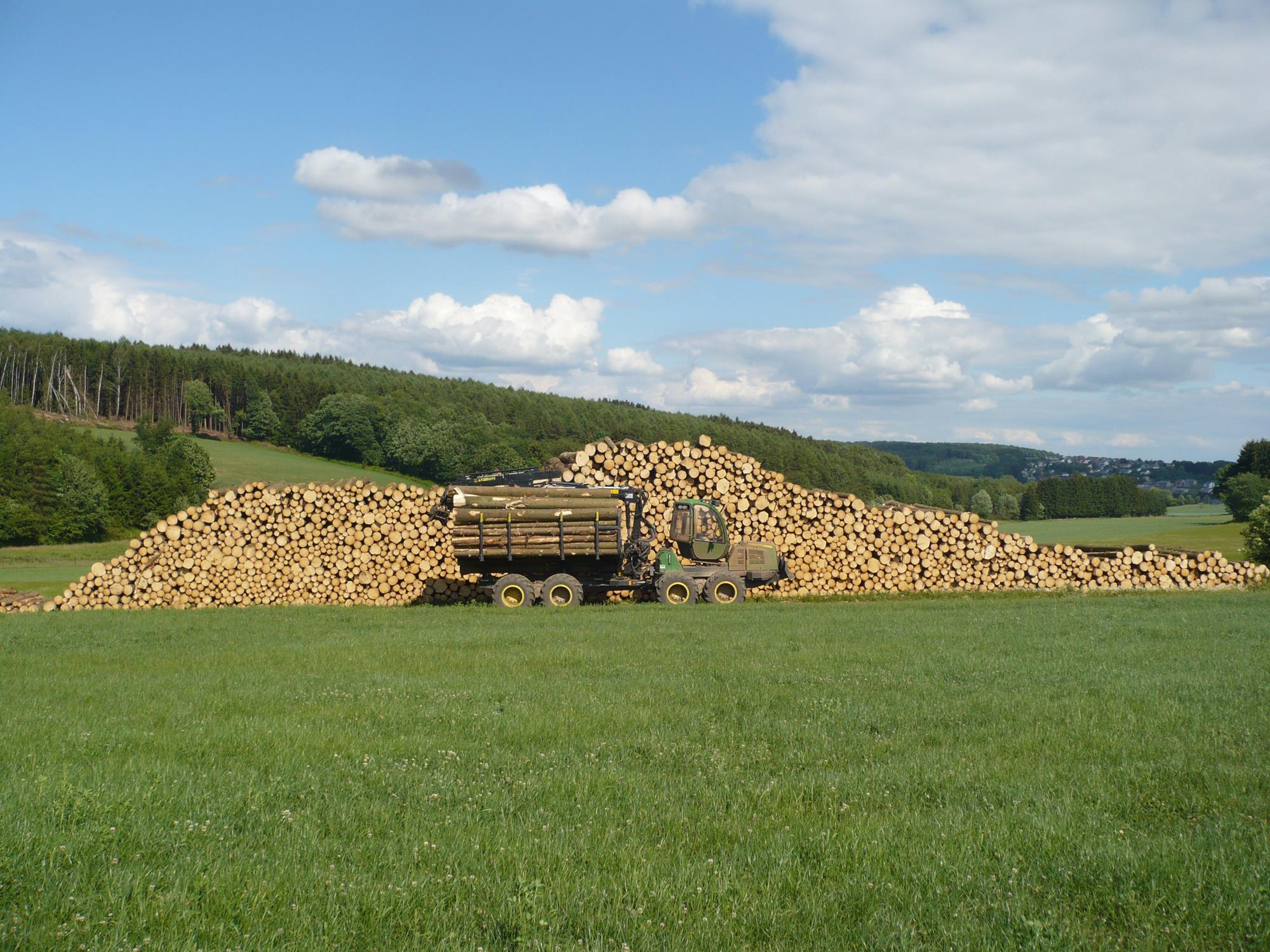 Commerce de bois - Entreprise forestière