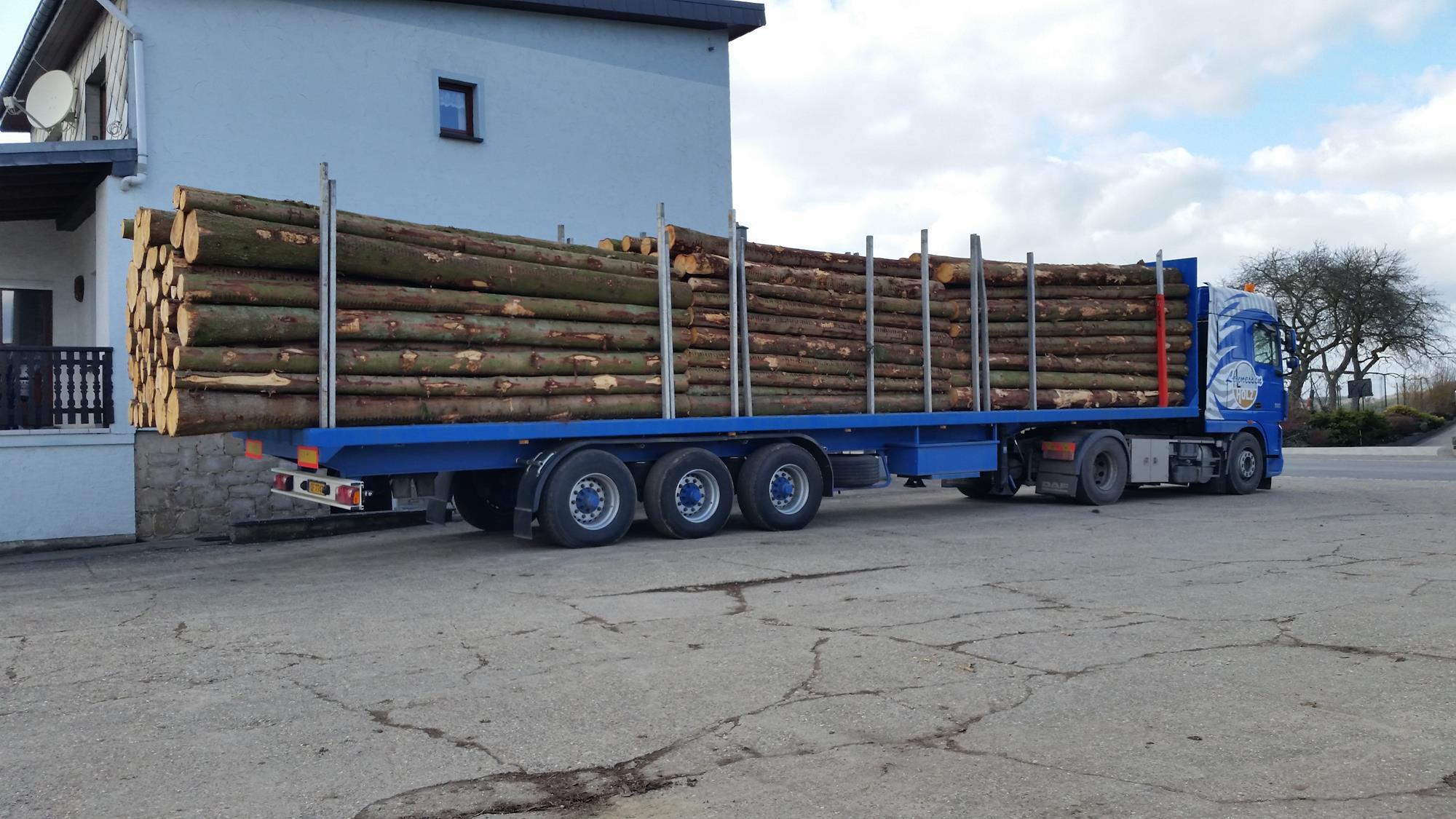 Commerce de bois - Entreprise forestière