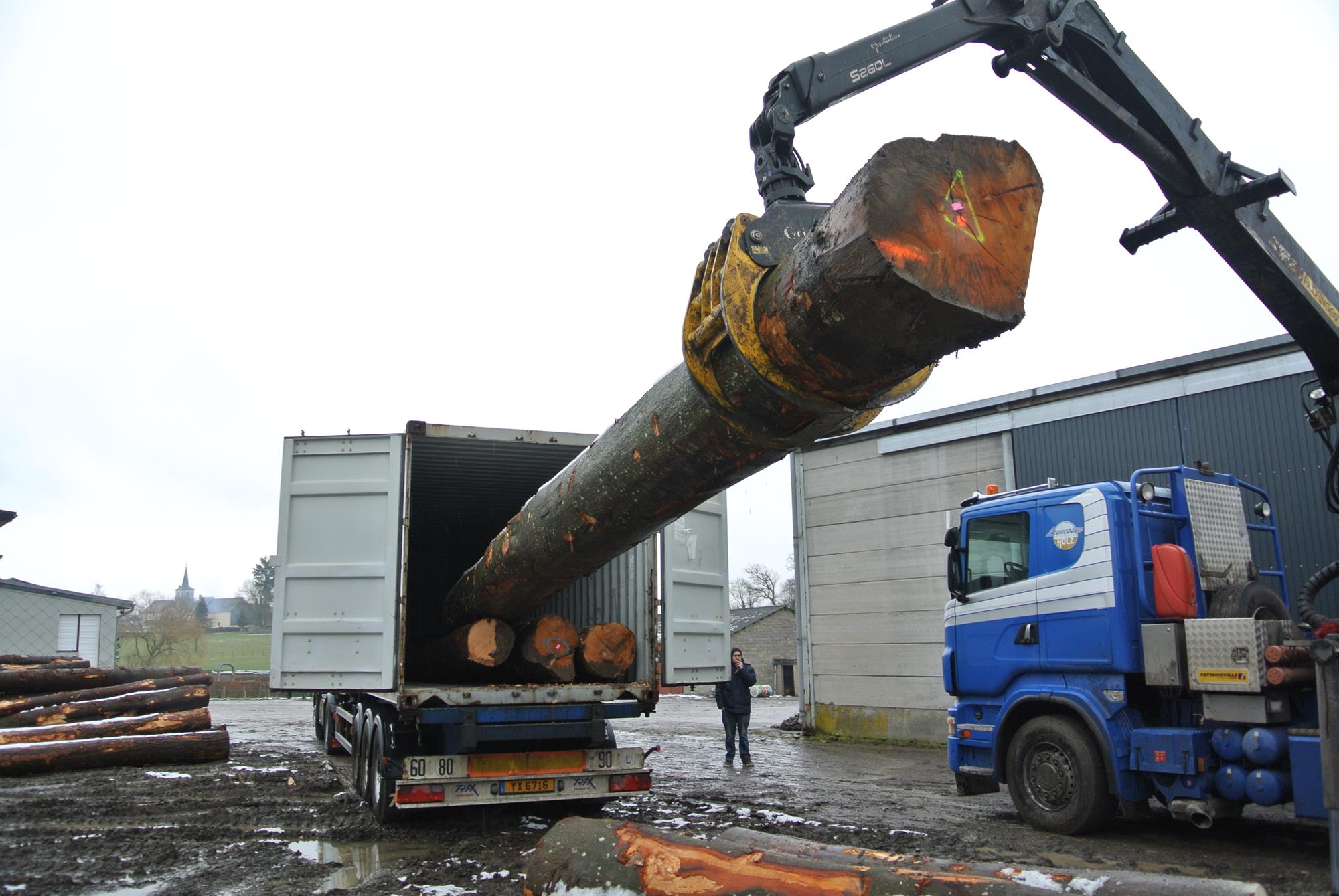 Commerce de bois - Entreprise forestière