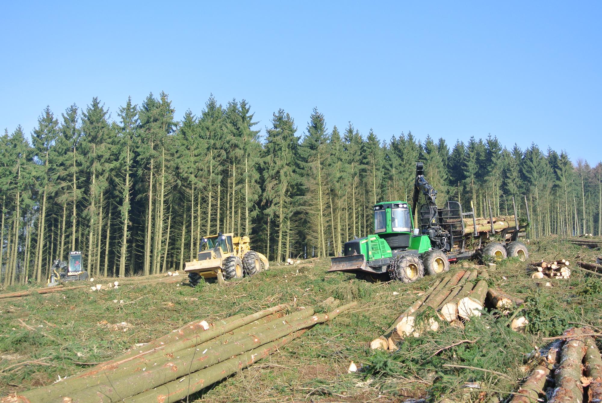 Maschinenpark - Forstunternehmen