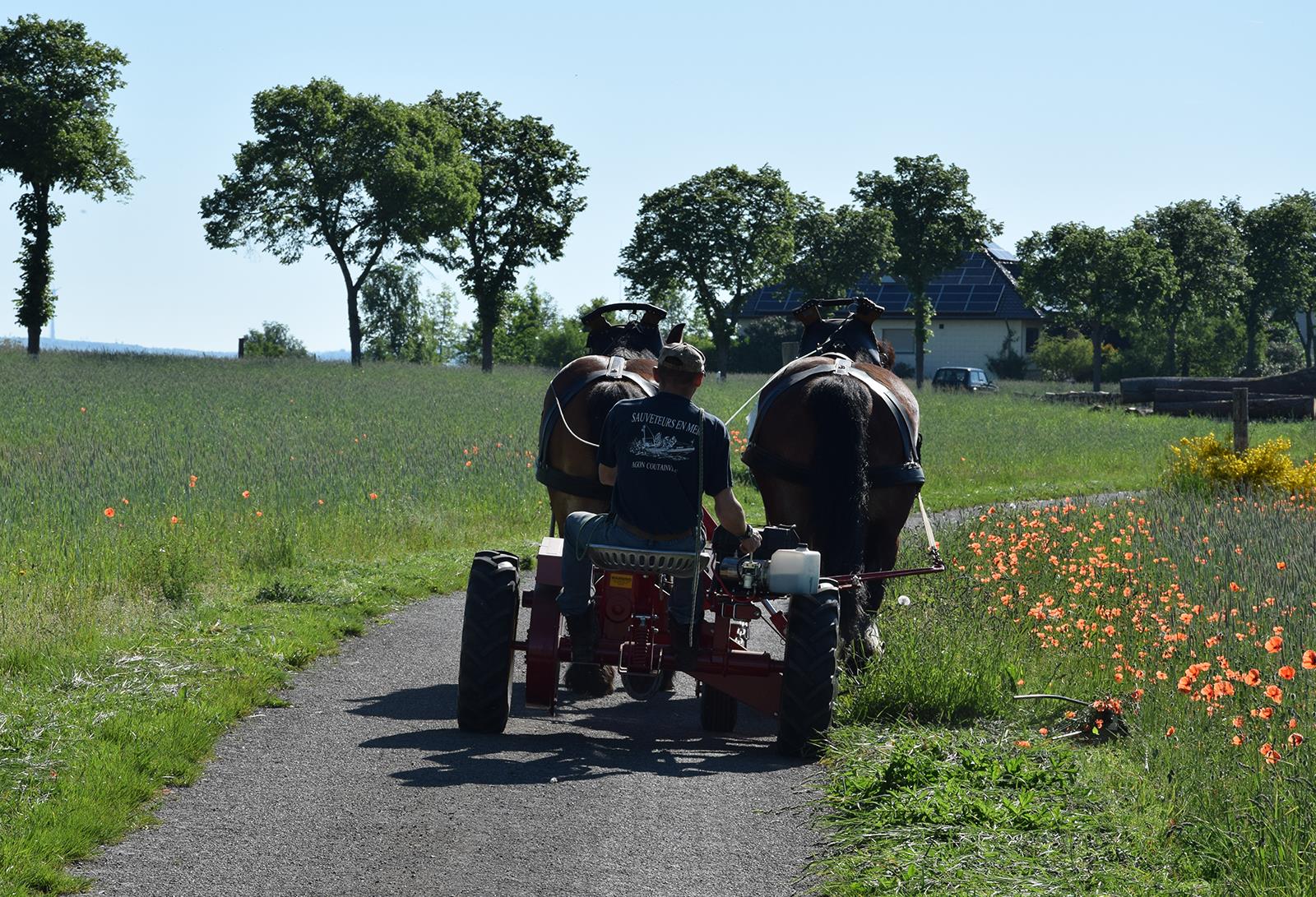 Autres travaux avec le cheval de trait