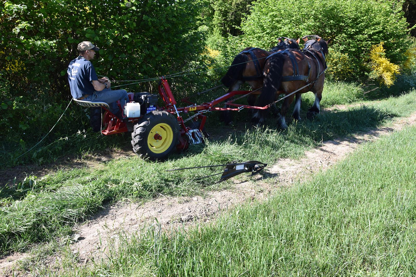 Autres travaux avec le cheval de trait